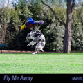 145a-FlyMeAway