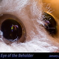 091a-EyeOfTheBeholder