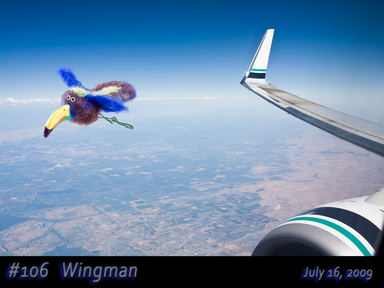 106a-Wingman.jpg