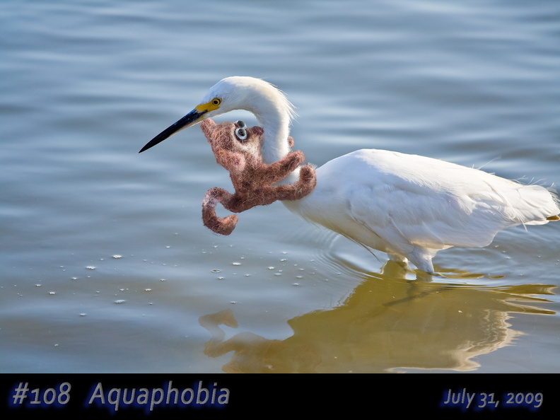108a-Aquaphobia.jpg