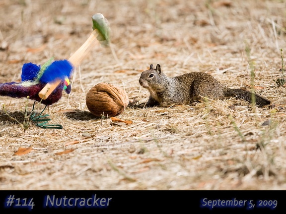 114a-Nutcracker